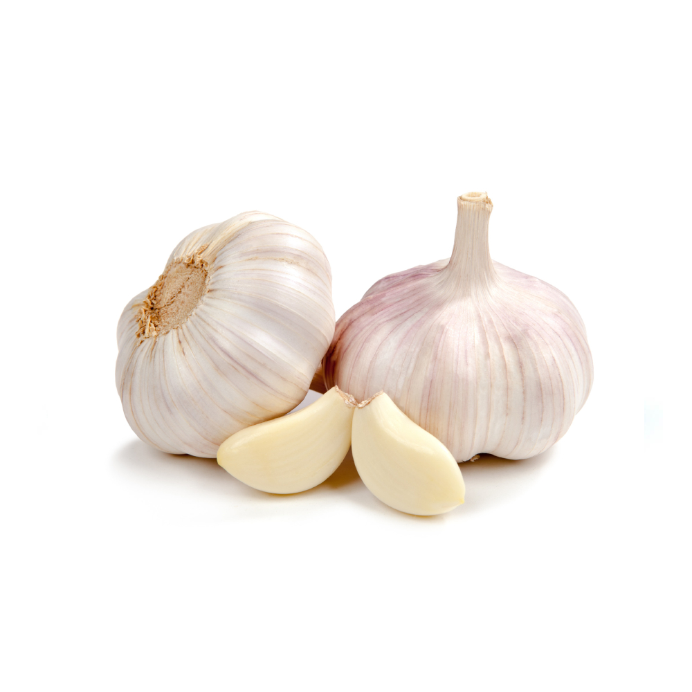 Bawang Putih